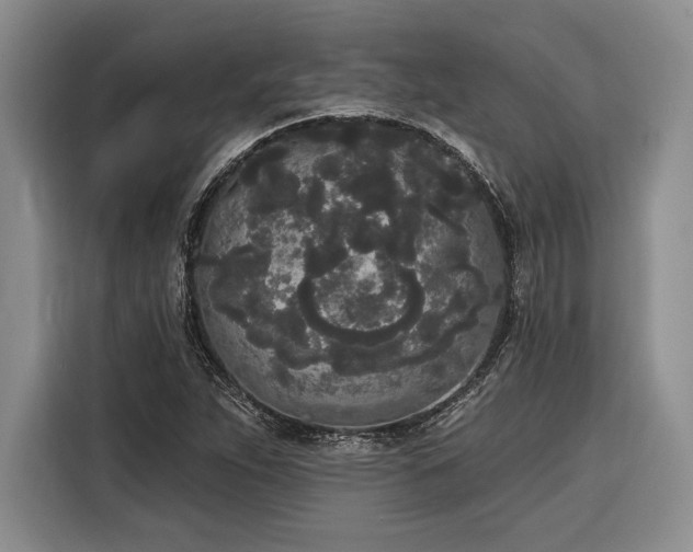 X0000116851263200912221112