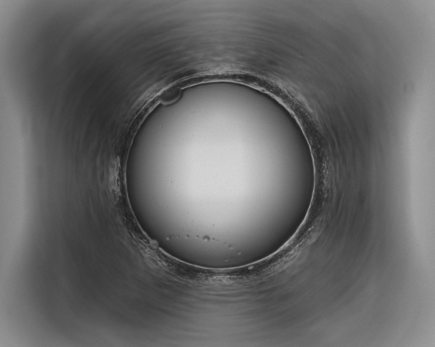 X0000116851265200912221112