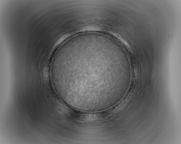 X0000116851266200912221112