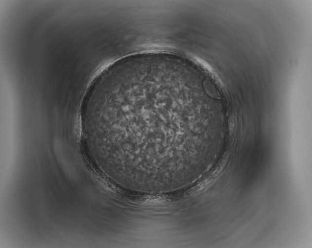 X0000116851267200912221112