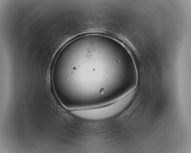 X0000116851268200912221112