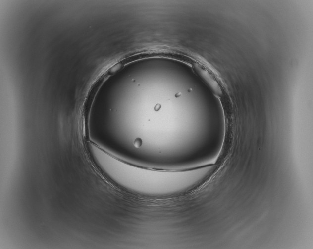 X0000116851269200912221112