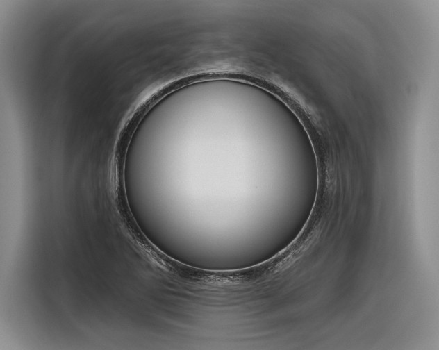 X0000116851270200912221112