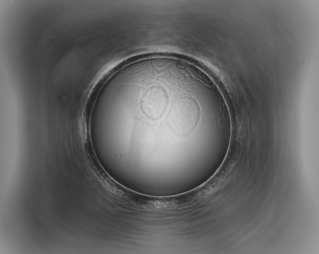 X0000116851271200912221112