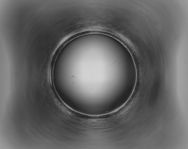 X0000116851272200912221112