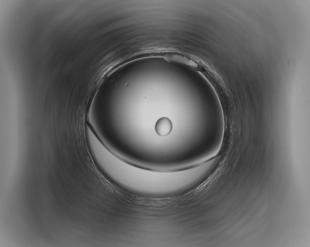 X0000116851273200912221111