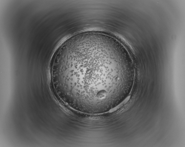 X0000116851274200912221111