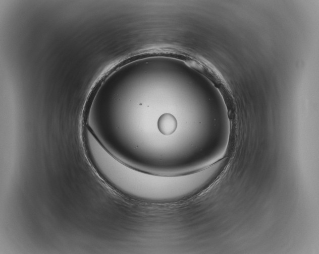 X0000116851277200912221111