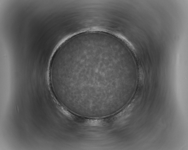 X0000116851278200912221111