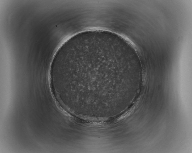 X0000116851279200912221111