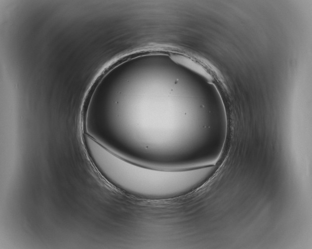 X0000116851280200912221111