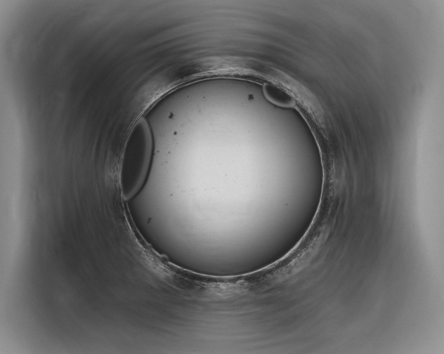 X0000116851281200912221111