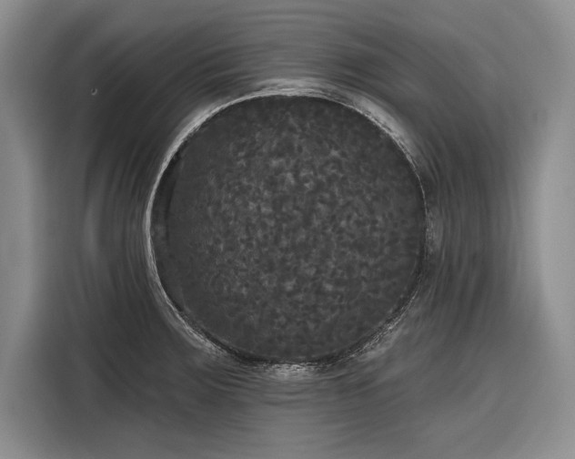 X0000116851283200912221111