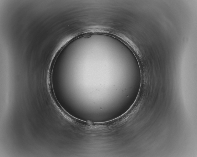 X0000116851285200912221111