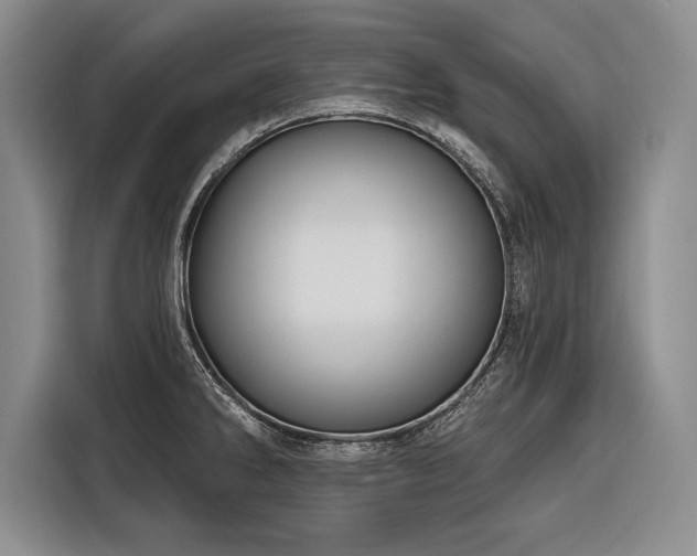 X0000116851286200912221111