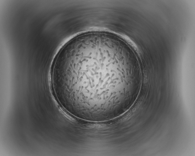 X0000116851287200912221111