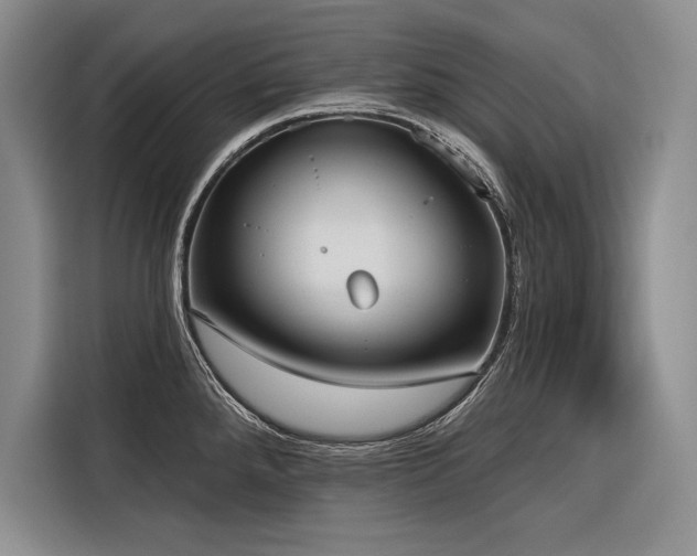 X0000116851288200912221111