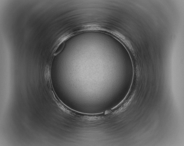 X0000116851289200912221111