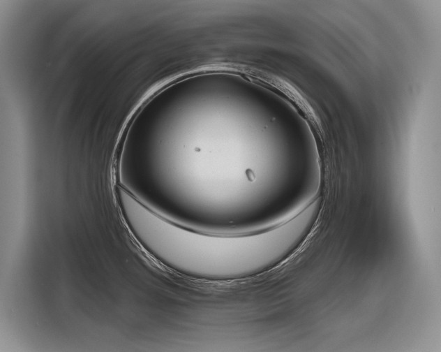X0000116851292200912221111