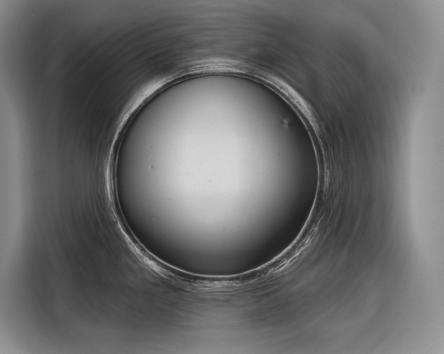 X0000116851293200912221111