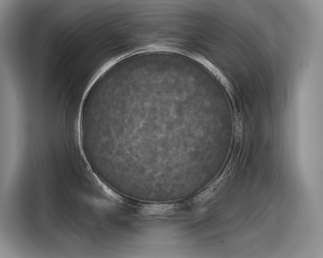 X0000116851294200912221111