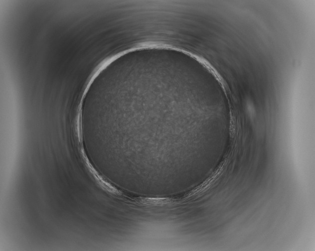 X0000116851295200912221111