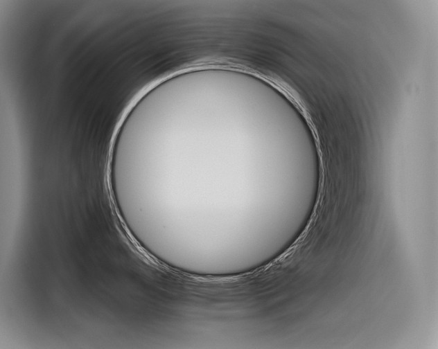 X0000116851296200912221111