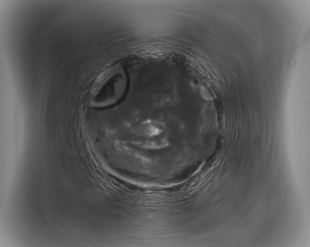 X0000116851297200912221111