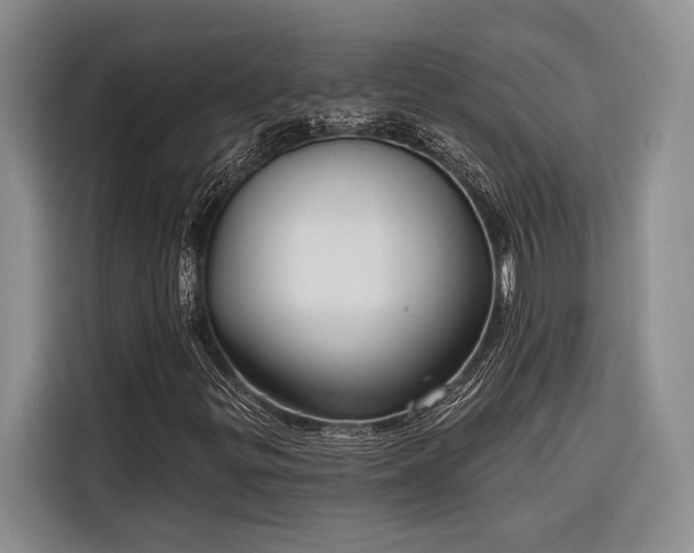 X0000116851299200912221111