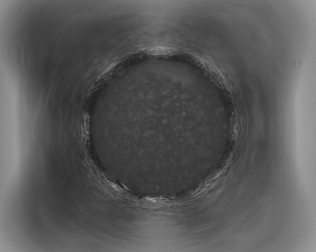 X0000116851301200912221111