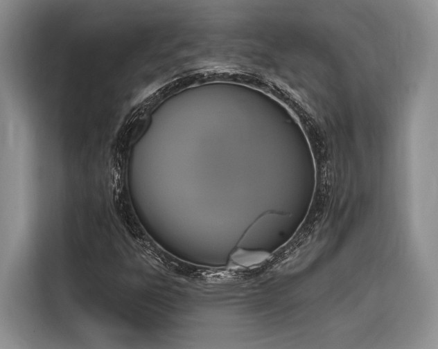 X0000116851303200912221111