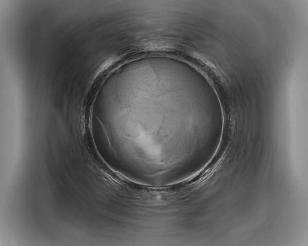 X0000116851306200912221111