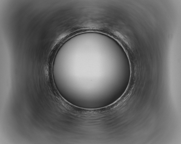 X0000116851307200912221111