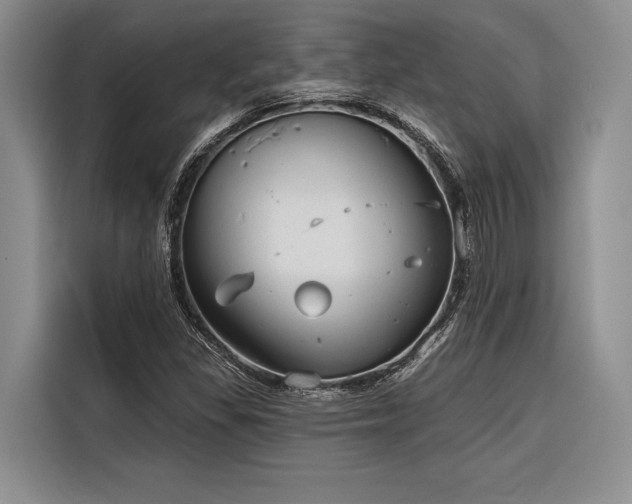 X0000116851309200912221111