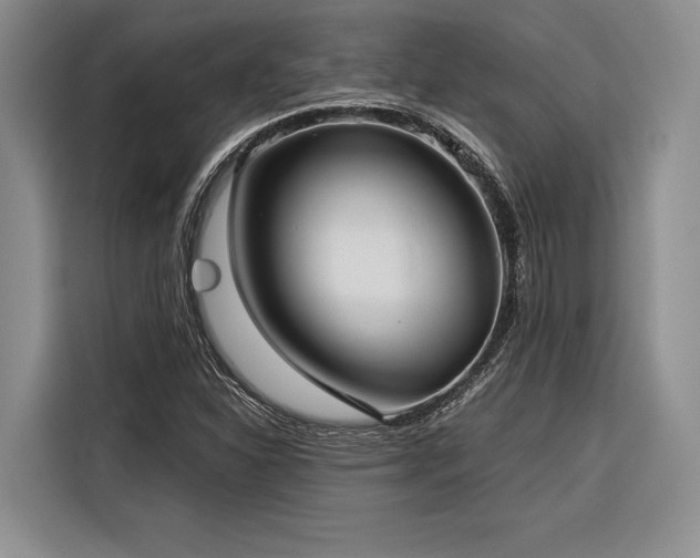 X0000116851310200912221111