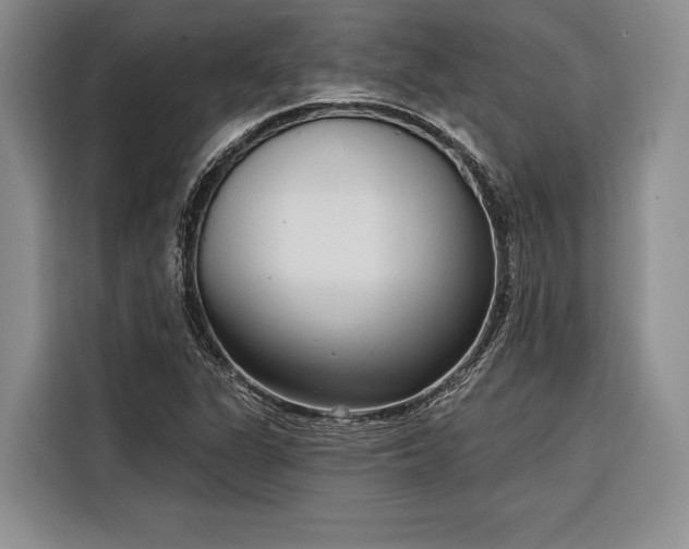 X0000116851311200912221111