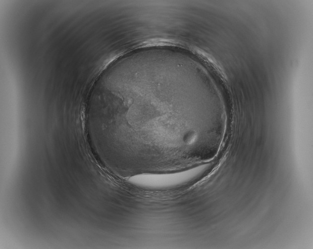 X0000116851313200912221111