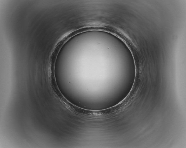 X0000116851315200912221111