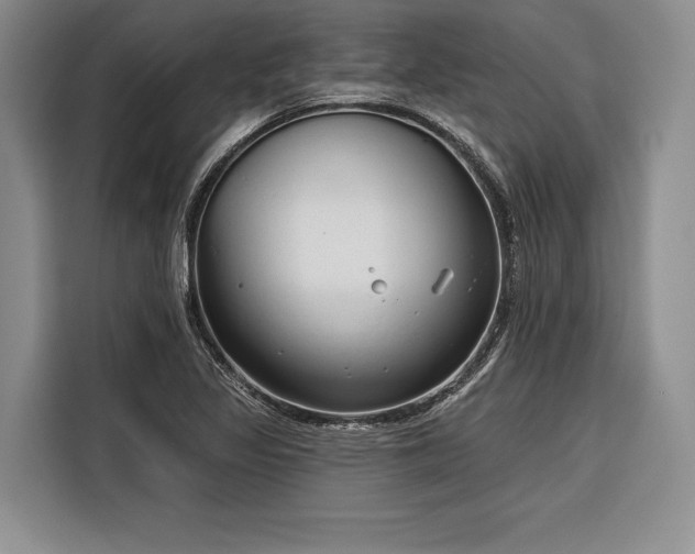 X0000116851317200912221111