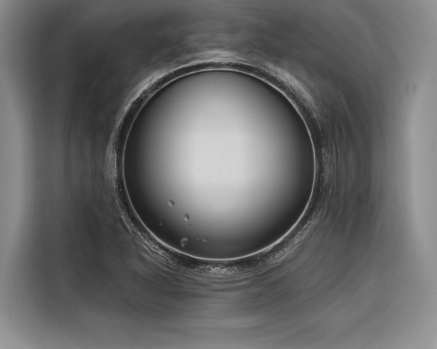 X0000116851318200912221111