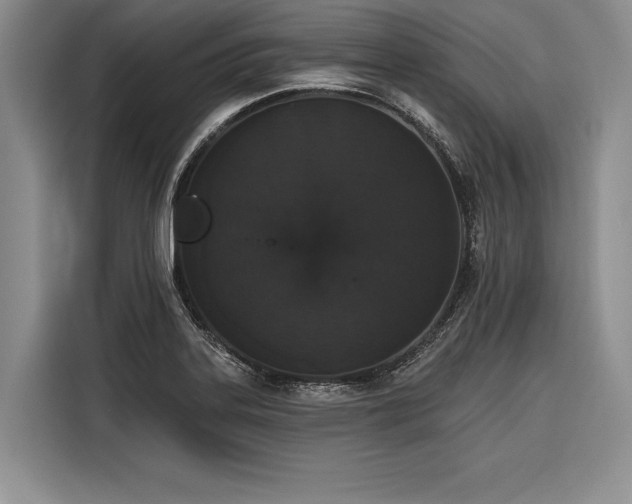 X0000116851323200912221111