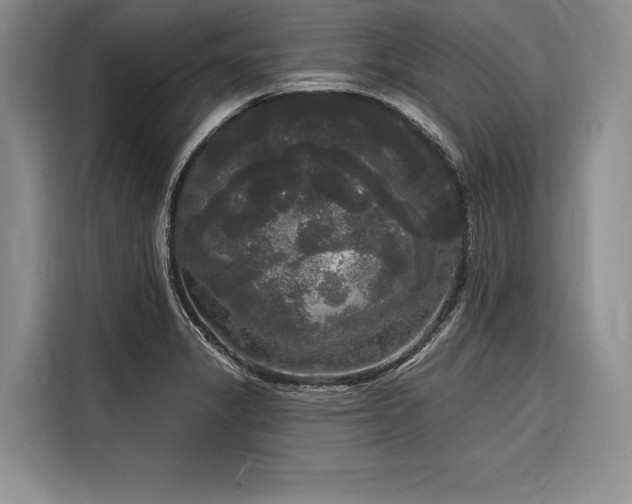 X0000116851325200912221111