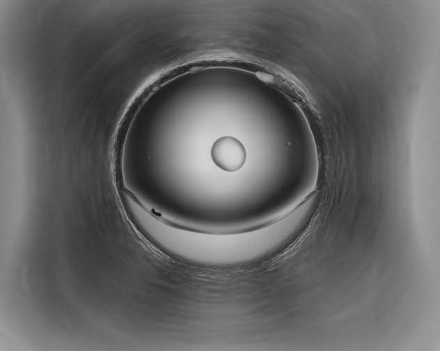 X0000116851326200912221111