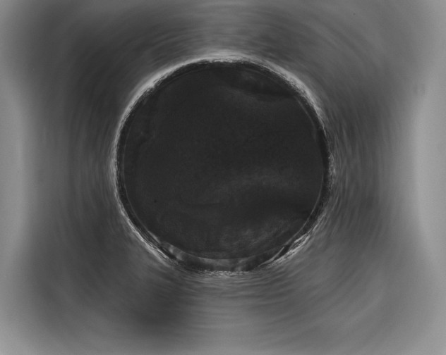 X0000116851327200912221111