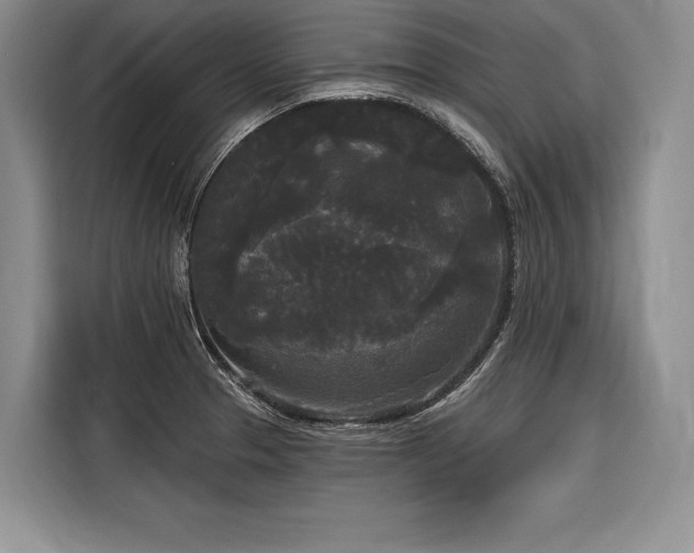 X0000116851329200912221111