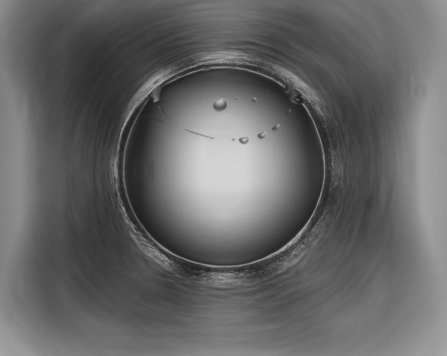 X0000116851330200912221111