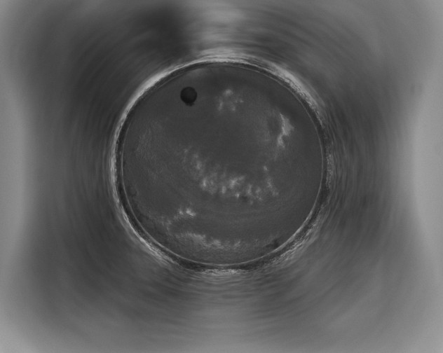 X0000116851331200912221111
