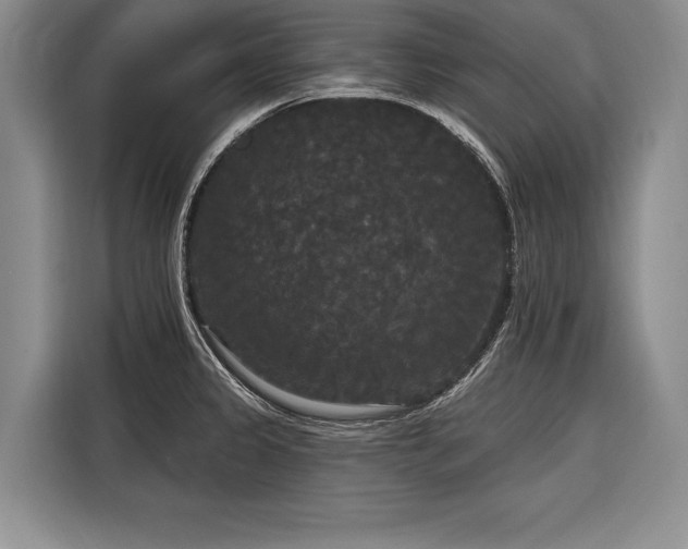 X0000116851333200912221111
