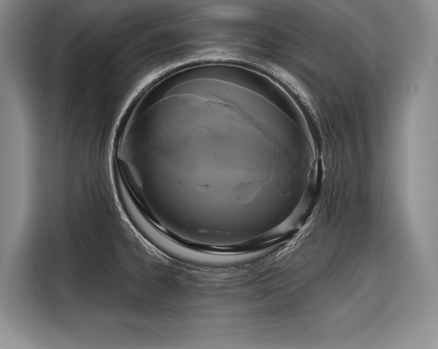 X0000116851334200912221111