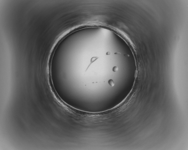 X0000116851335200912221111